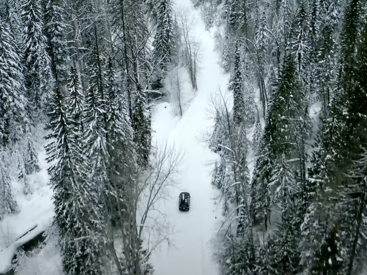 通雪林路