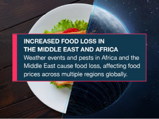 增加的食物在中东和非洲天气事件和害虫在非洲和中东造成粮食损失,影响食品价格全球多个地区. .