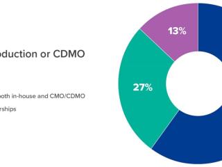 饼图和内部生产或CDMO指数