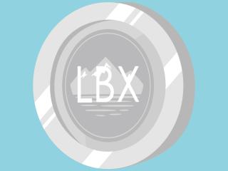 LBX加密标志