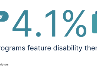 只有4.1%的项目功能残疾主题。