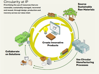 信息图形“ IP的圆形性”优先考虑通过我们的价值链的设计，生产和恢复，可再生，可持续管理，恢复和重复使用的资源。树木，制造厂，产品，回收厂，卡车的图像。中心的计算机“创造创新产品”