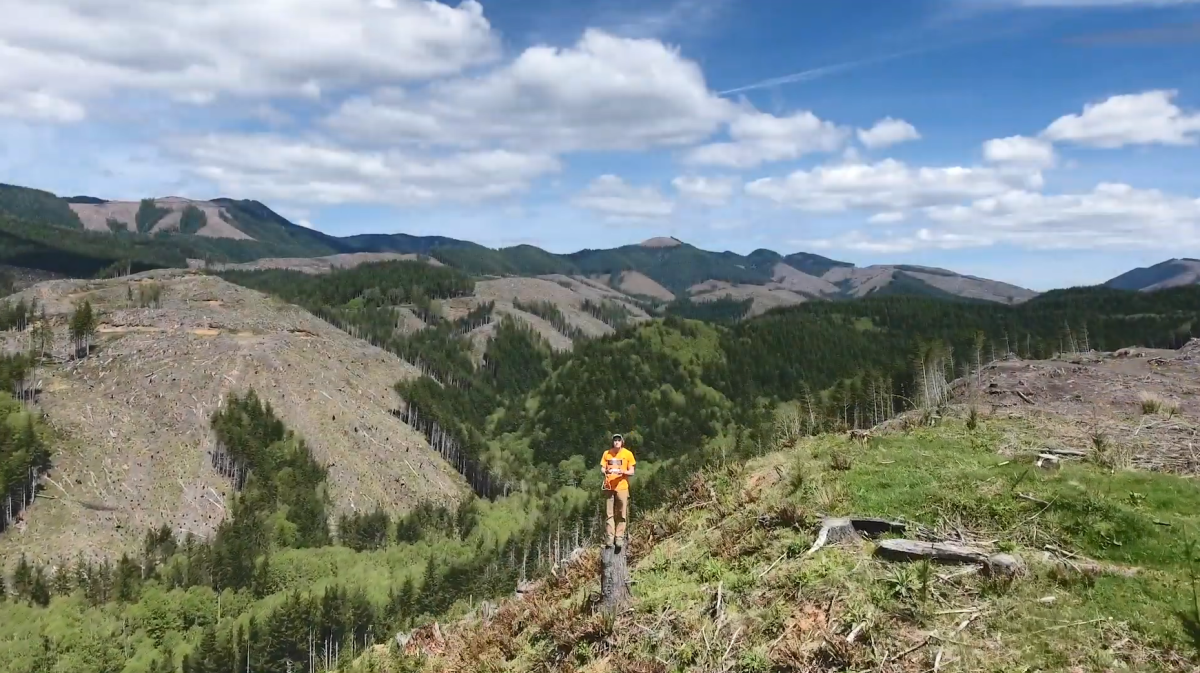 无人驾驶飞机的镜头一个人在树桩的森林和山区。