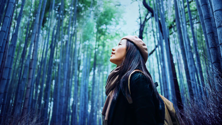 Person looking up at trees