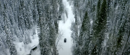 通雪林路